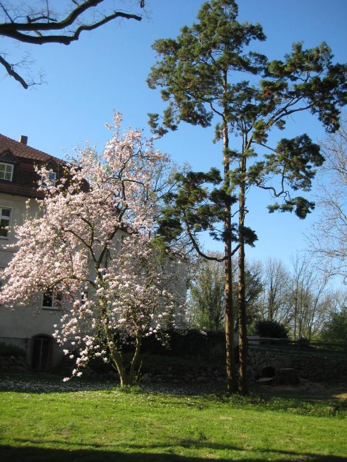 Gartenzimmer Im Schloss Neuhausen Neuhausen  Exterior foto